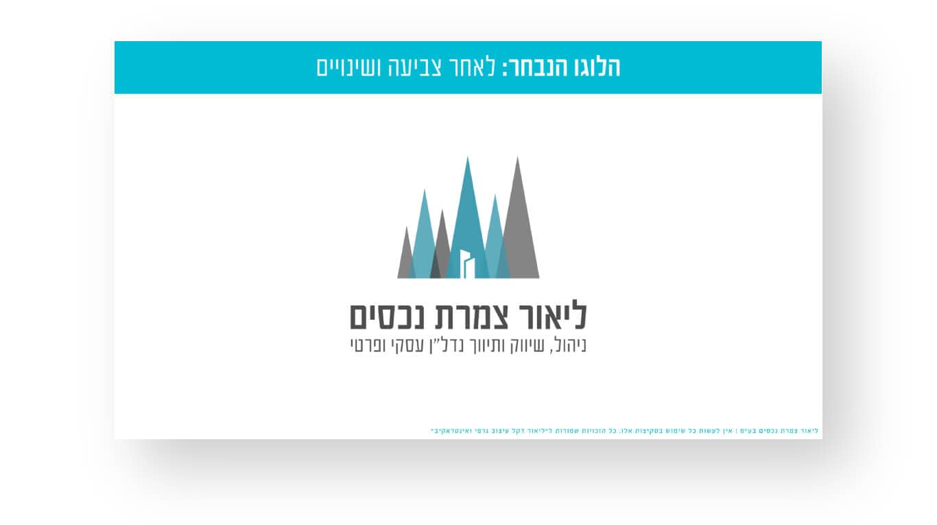 הלוגו הסופי שנבחר - ליאור צמרת נכסים